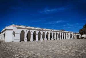 Au départ de Salta : Excursions d'une journée à Cafayate et Cachi