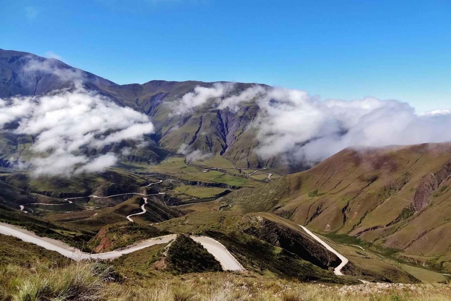 Från Salta: heldags naturskön tur till Cachi
