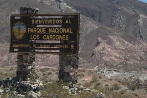 Fra Salta: Naturskjønn heldagstur til Cachi