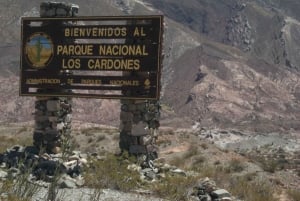 From Salta: Full-Day Scenic Tour to Cachi
