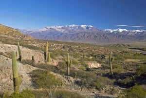 From Salta: Full-Day Scenic Tour to Cachi