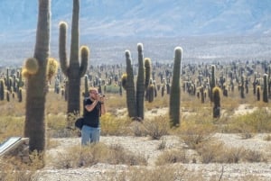 From Salta: Full-Day Scenic Tour to Cachi