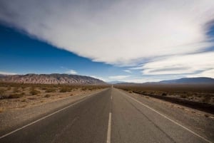 From Salta: Full-Day Scenic Tour to Cachi