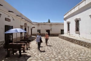From Salta: Full-Day Scenic Tour to Cachi