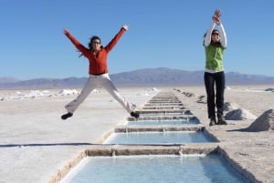 Ab Salta: Tagestour Salinas Grandes und Purmamarca