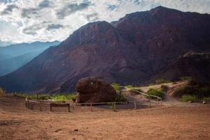 From Salta: Full-Day Tours of Cafayate and Humahuaca