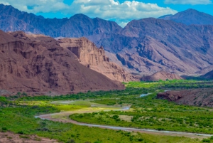 From Salta: Full-Day Tours of Cafayate and Salinas Grandes