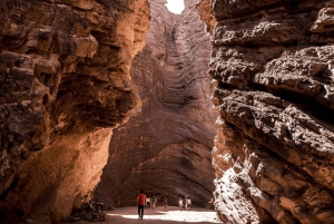 Depuis Salta : Excursions d'une journée à Cafayate et Salinas Grandes