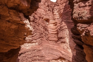 Depuis Salta : Excursions d'une journée à Cafayate et Salinas Grandes