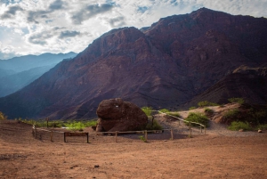 Depuis Salta : Excursions d'une journée à Cafayate et Salinas Grandes