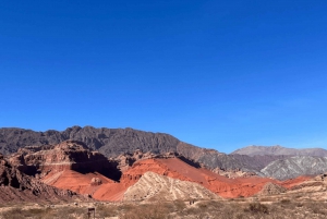 Depuis Salta : Excursions d'une journée à Cafayate et Salinas Grandes