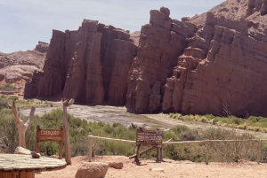 Depuis Salta : Excursions d'une journée à Cafayate et Salinas Grandes