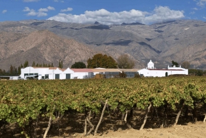 From Salta: Full-Day Tours of Cafayate and Salinas Grandes