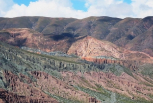 Depuis Salta : Excursions d'une journée à Cafayate et Salinas Grandes