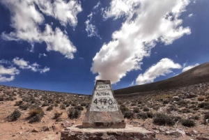 Depuis Salta : Excursions d'une journée à Cafayate et Salinas Grandes