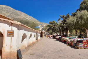 Depuis Salta : Excursions d'une journée à Cafayate et Salinas Grandes