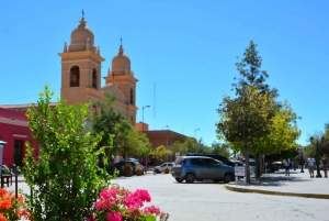 Saltasta: Salinas Grandesin ja Cafayaten kokopäiväretket