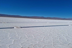 Saltasta: Salinas Grandesin ja Cafayaten kokopäiväretket