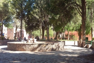 Saltasta: Salinas Grandesin ja Cafayaten kokopäiväretket