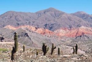 Depuis Salta : Quebrada de Humahuaca, Purmamarca et Tilcara