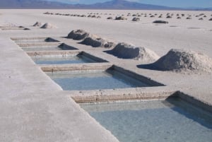 From Salta: Salinas and Hornocal 2-Day Tour with Transfer