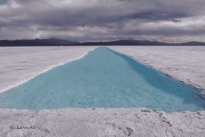 Från Salta: Salinas Grandes, Purmamarca och Cuesta de Lipán