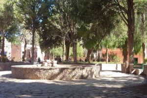 Från Salta: Salinas Grandes, Purmamarca och Cuesta de Lipán