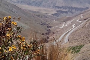 From Salta: Salinas Grandes, Purmamarca & Los Colorados Hike