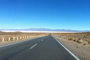 From Salta: Salinas Grandes, Purmamarca & Los Colorados Hike