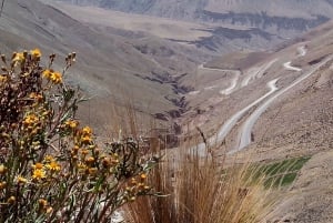 From Salta: Salinas Grandes, Purmamarca & Los Colorados Hike
