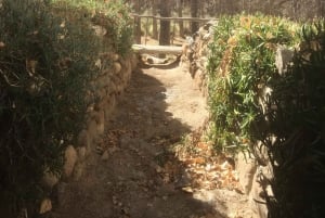 Von Salta aus: Tour nach Cachi 'Eine Reise in die Vergangenheit'