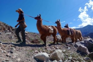 From Tilcara: Andean Trekking with Llamas