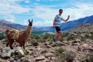 From Tilcara: Andean Trekking with Llamas