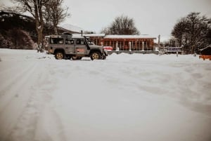 From Ushuaia: Escondido and Fagnano Lakes 4WD Winter Woods