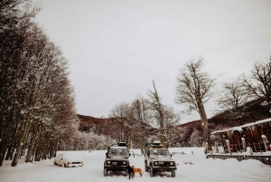 From Ushuaia: Escondido and Fagnano Lakes 4WD Winter Woods