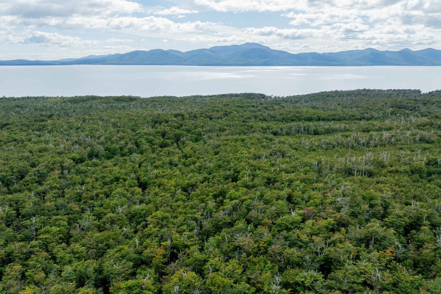 From Ushuaia: Escondido and Khami Lakes Off-Road Tour