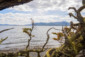 From Ushuaia: Escondido and Khami Lakes Off-Road Tour