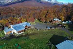 Da Ushuaia: Tour dei laghi di Fagnano e Escondido