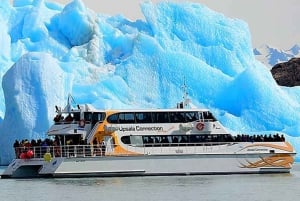 Tour di un giorno con tutti i ghiacciai a Calafate