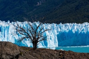 Tour di un giorno con tutti i ghiacciai a Calafate