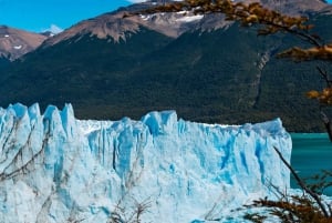 Tour di un giorno con tutti i ghiacciai a Calafate