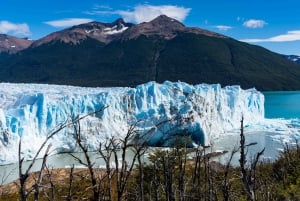 Tour di un giorno con tutti i ghiacciai a Calafate