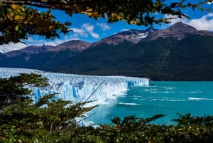 Tour di un giorno con tutti i ghiacciai a Calafate