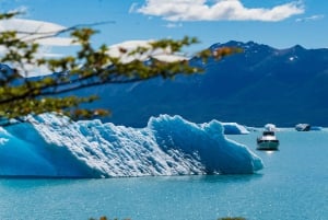 Tour di un giorno con tutti i ghiacciai a Calafate