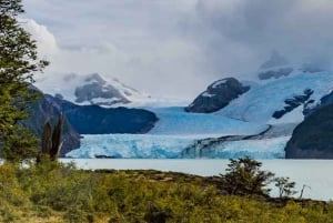 Tour di un giorno con tutti i ghiacciai a Calafate