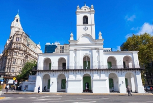 Full-Day Buenos Aires City Tour with Delta Safari