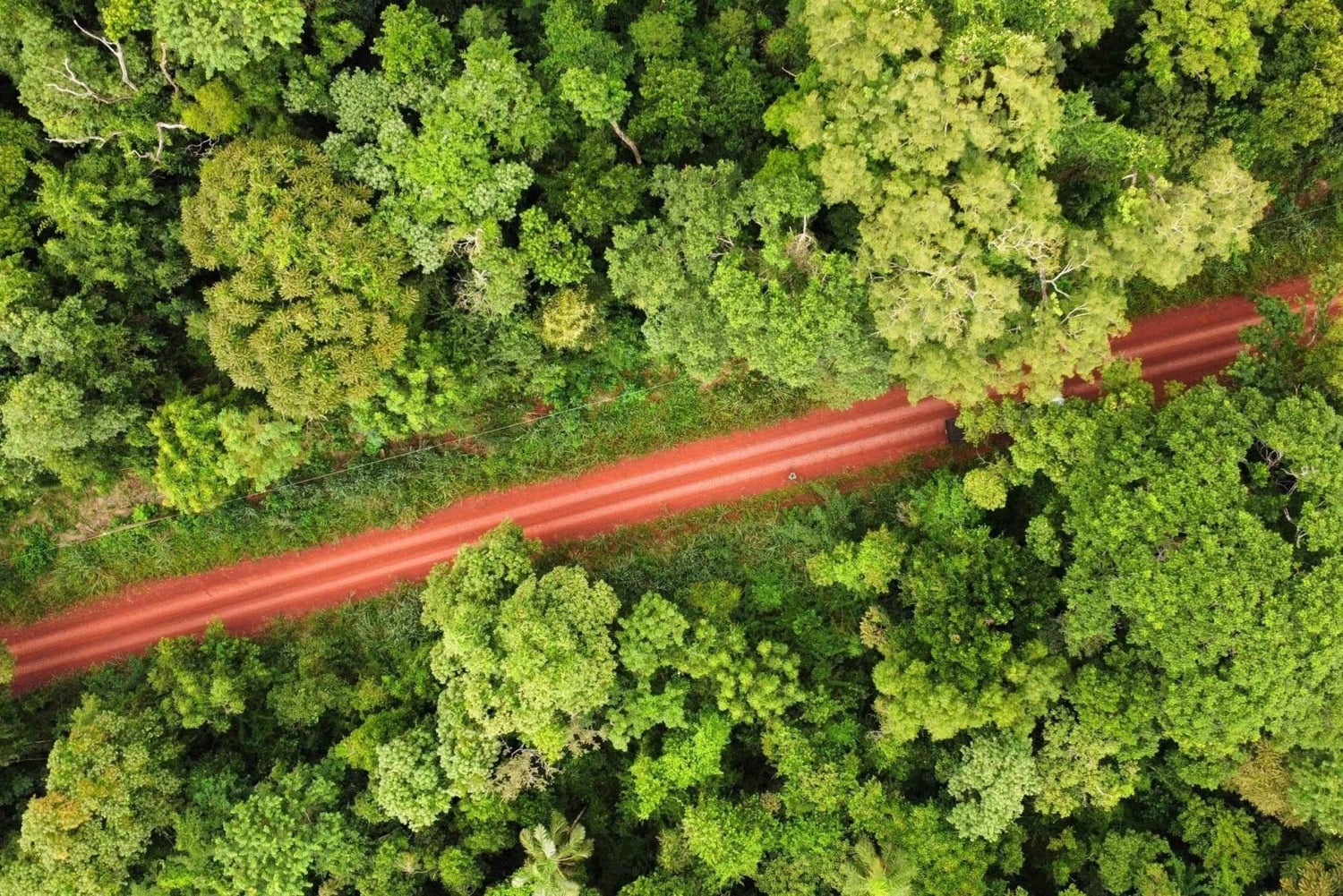 Aventure guidée d'une journée complète dans la jungle de Misiones