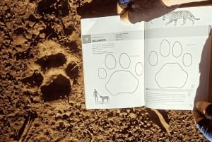 Aventure guidée d'une journée complète dans la jungle de Misiones