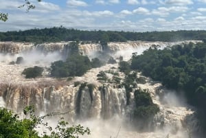 Heldag Iguassu Falls Begge sider - Brasil og Argentina