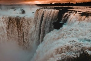 Heldag Iguassu Falls Begge sider - Brasil og Argentina